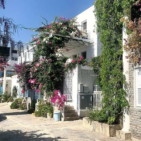 Apartamento White